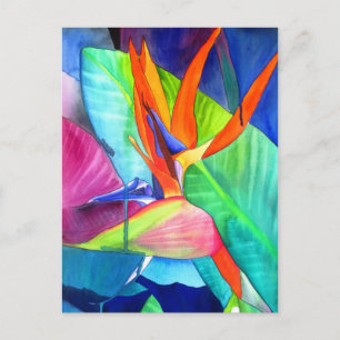 Bird of Paradise Strelitzia flower tropical art Postcard