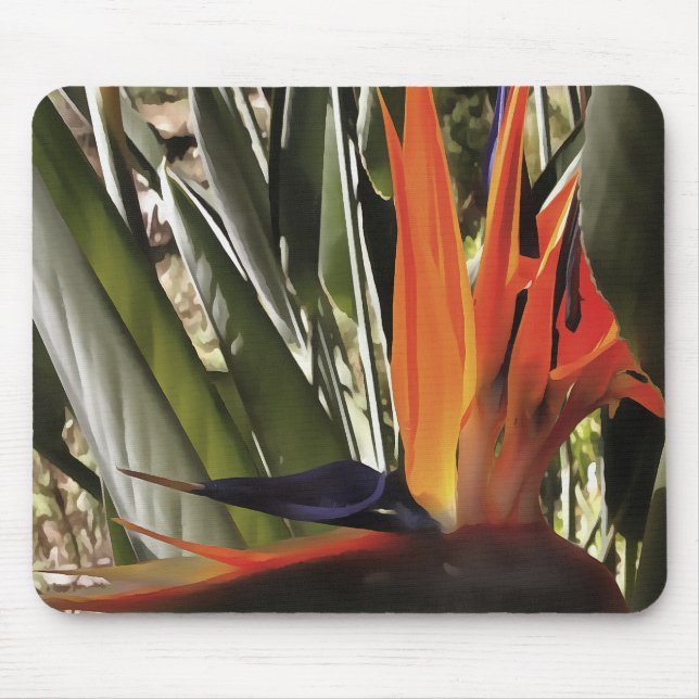 Bird of Paradise (Strelitzia) Mouse Mat (Front)