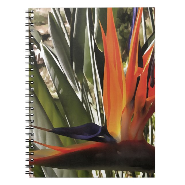 Bird of Paradise (Strelitzia) Notebook (Front)