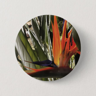 Bird of Paradise Strelitzia Reginae Acrylic Painti 6 Cm Round Badge