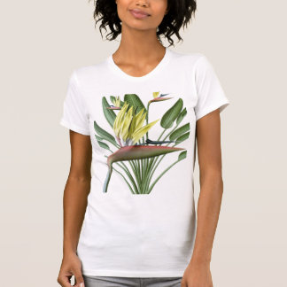 Bird of Paradise T-Shirt