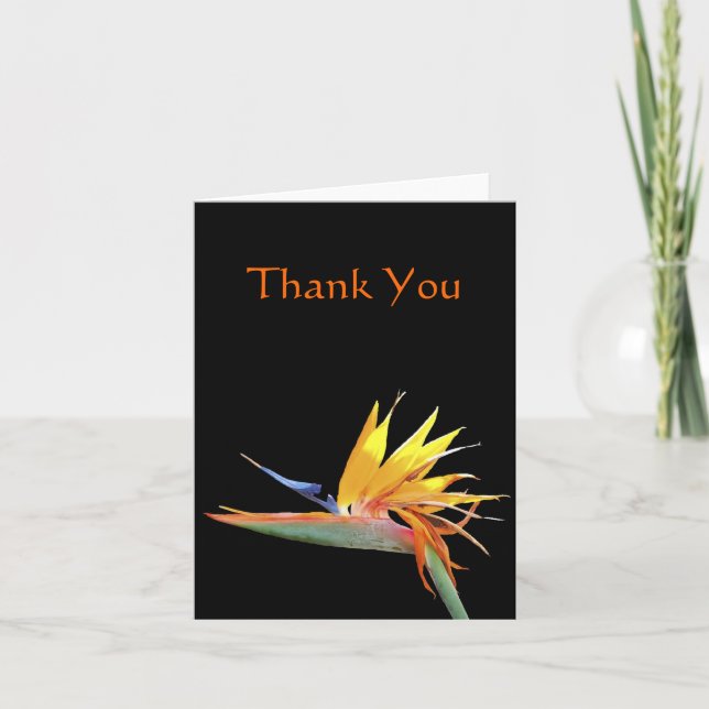 Bird of Paradise Thank You Note (Front)