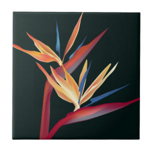 Bird of Paradise Tile