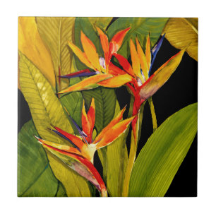 Bird of Paradise Tile