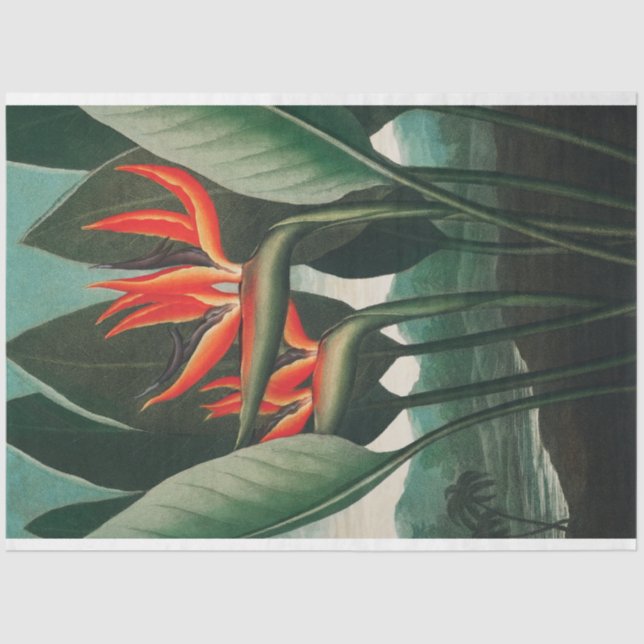 Bird of Paradise Tropical Flower Decoupage  Tissue Paper (Front)