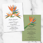 Bird of Paradise Wedding All In One Invitations<br><div class="desc">An elegant watercolor of tropical bird of paradise flowers features your wedding ceremony details in chic lettering on the front and your wedding details on the back of this all-in-one wedding invitation. MATCHING items in our store.</div>