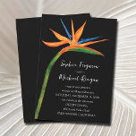 Bird of Paradise Wedding Invitation<br><div class="desc">Tropical exotic bird of paradise watercolor flower on a black background makes a beautiful wedding invitation with an exotic flair. COORDINATING rsvp cards,  reception cards,  plates,  napkins and more in our store.</div>