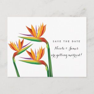 Bird of Paradise Wedding Save The Date Postcard
