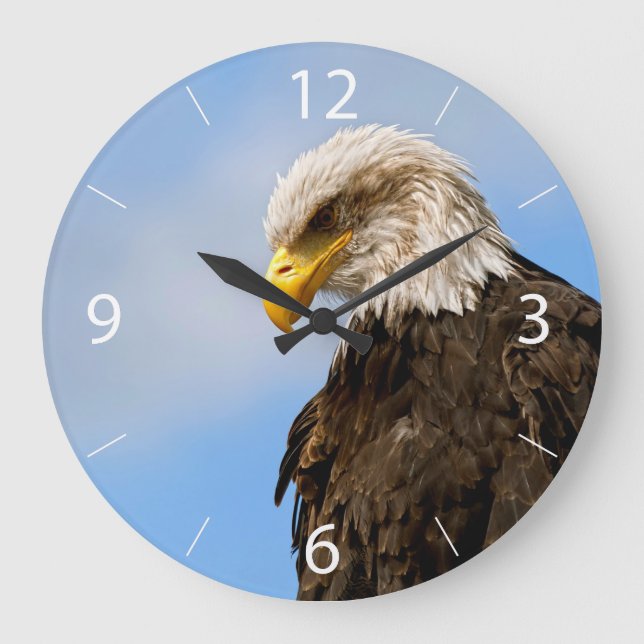 Bird of Pray Bald Eagle Large Clock (Front)
