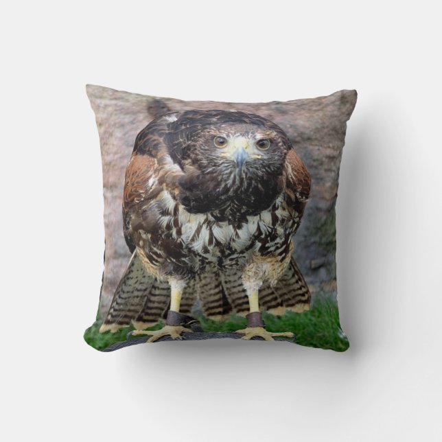 Bird of Prey #15-Red Tailed Hawk Cushion (Front)