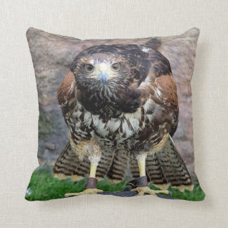 Bird of Prey #15-Red Tailed Hawk Cushion