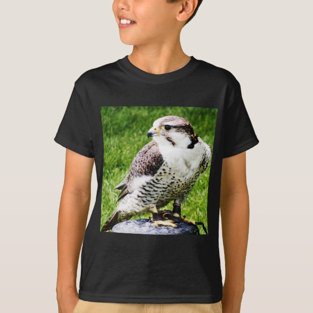 Bird of Prey #1-peregine falcon T-Shirt (Front)