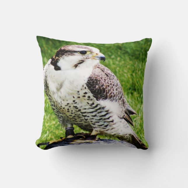 Bird of Prey #2-Peregrine Falcon Cushion (Front)