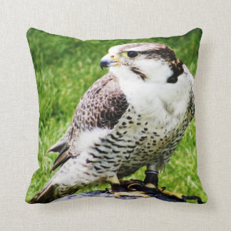 Bird of Prey #2-Peregrine Falcon Cushion