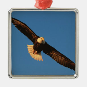 Bird of Prey, Bald Eagle in flight, Kachemak Metal Tree Decoration