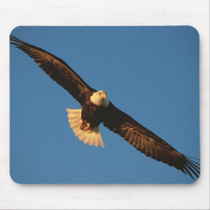 Bird of Prey, Bald Eagle in flight, Kachemak Mouse Mat