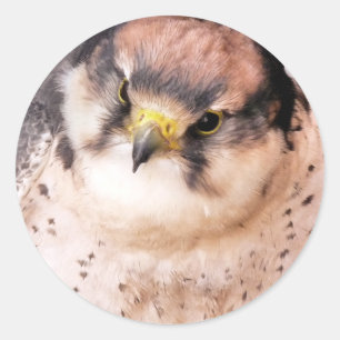 BIRD OF PREY CLASSIC ROUND STICKER