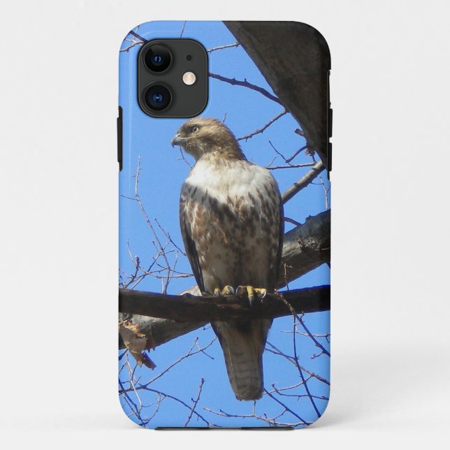 Bird Of Prey iPhone 5 case (Back)