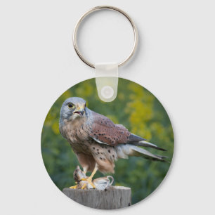 Bird of Prey Keychain/Keyring Key Ring