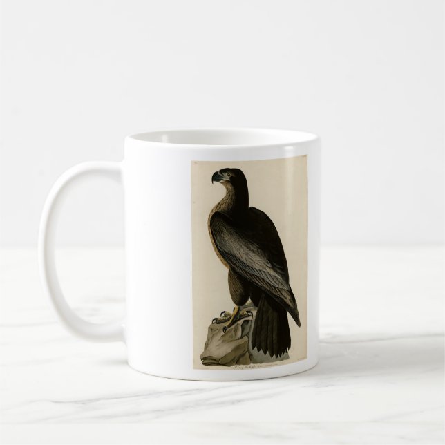 Bird of Washington from Audubon's Birds of America Coffee Mug (Left)