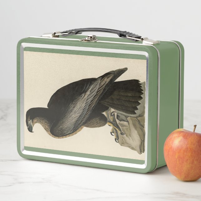 Bird of Washington from Audubon's Birds of America Metal Lunch Box (In Situ)