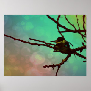 Bird On A Branch -Aqua N Pink  Poster