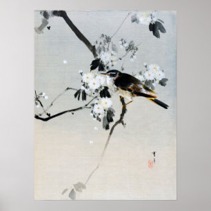 Bird on a Cherry Blossom Branch, Watanabe Seitei Poster