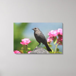 Bird on a Fence Canvas Print