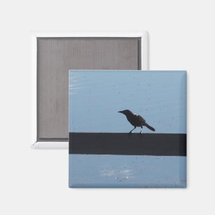 Bird On a Fence Magnet