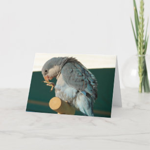 Bird on a Perch Card
