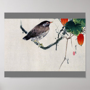Bird on a Trichosanthes Branch, Watanabe Seitei Poster