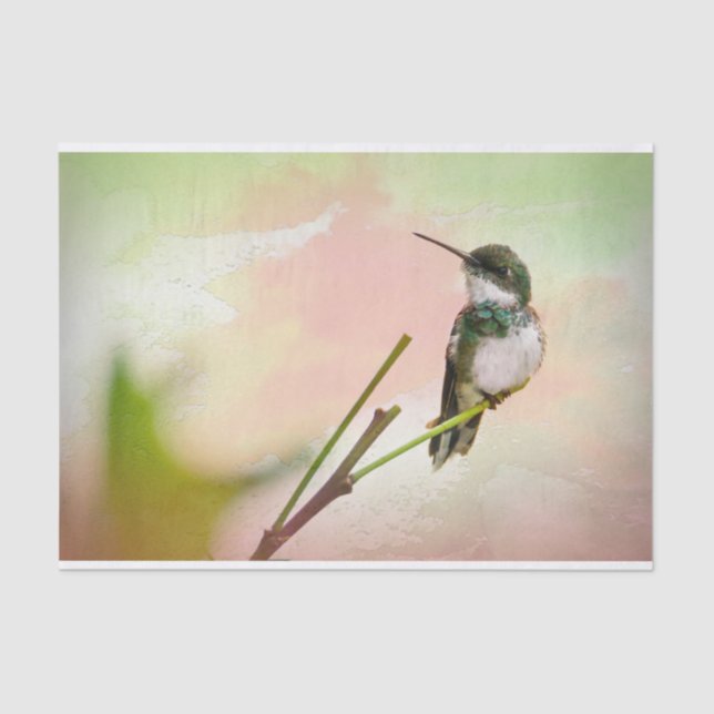 Bird on a Twig & Pastel Watercolor Tissue Paper (Front)