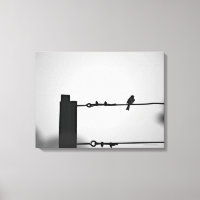 Bird on a Wire