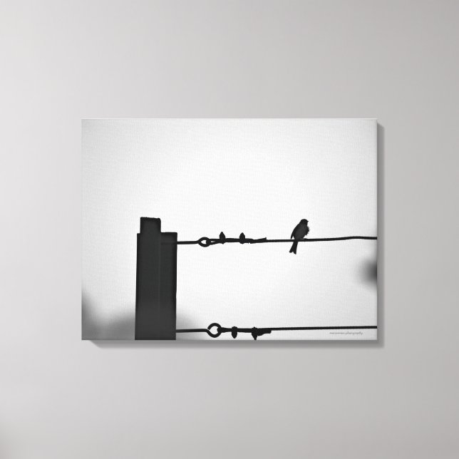 Bird on a Wire Canvas Print (Front)