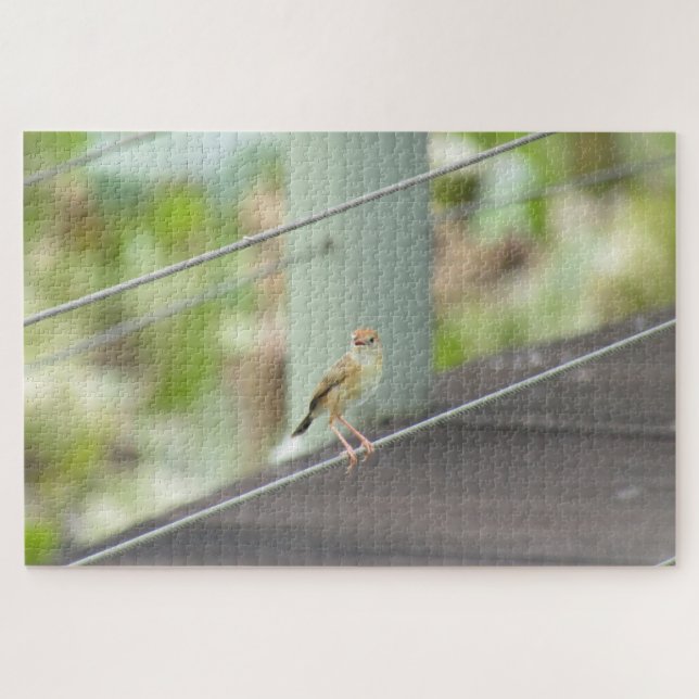 bird on a wire jigsaw puzzle (Horizontal)
