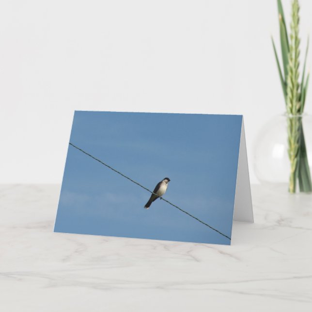 Bird on a Wire Photo Card (Front)