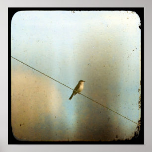 Bird on a Wire Poster
