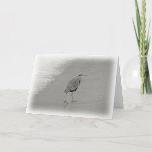 Bird On Beach Photo Card