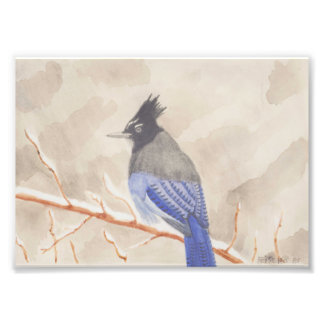 Bird on Branch Photo Print