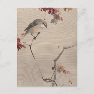 Bird on Branch Watching Spider   Watanabe Seitei Postcard