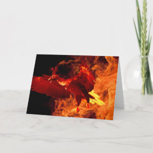 Bird on Fire Card