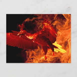 Bird on Fire Postcard