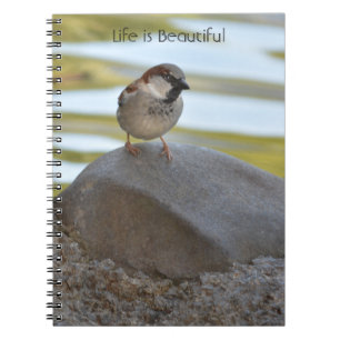 Bird on Rock Kauai (my photography) Notebook
