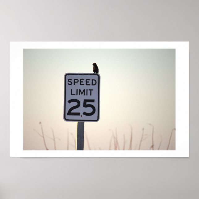 Bird on Sign Poster (Front)