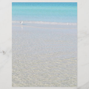 Bird on the Beach Stationary