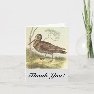 Bird on the Ground, "Thank You!", Vintage Look Card