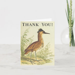 Bird on the Ground, Vintage Style, "Thank You!" Card