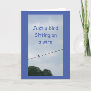 BIRD ON WIRE SAYS **HAPPY BIRTHDAY** CARD