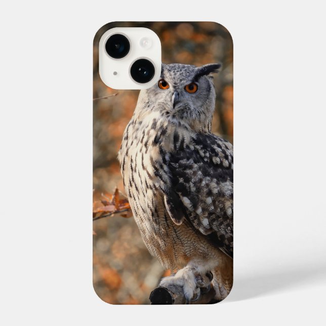 bird, owl, feather iPhone case (Back)
