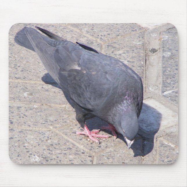 Bird Pad Mouse Mat (Front)